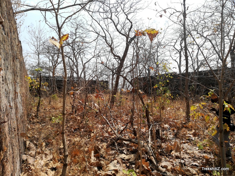 Chaugaon Fort, Wada from inside